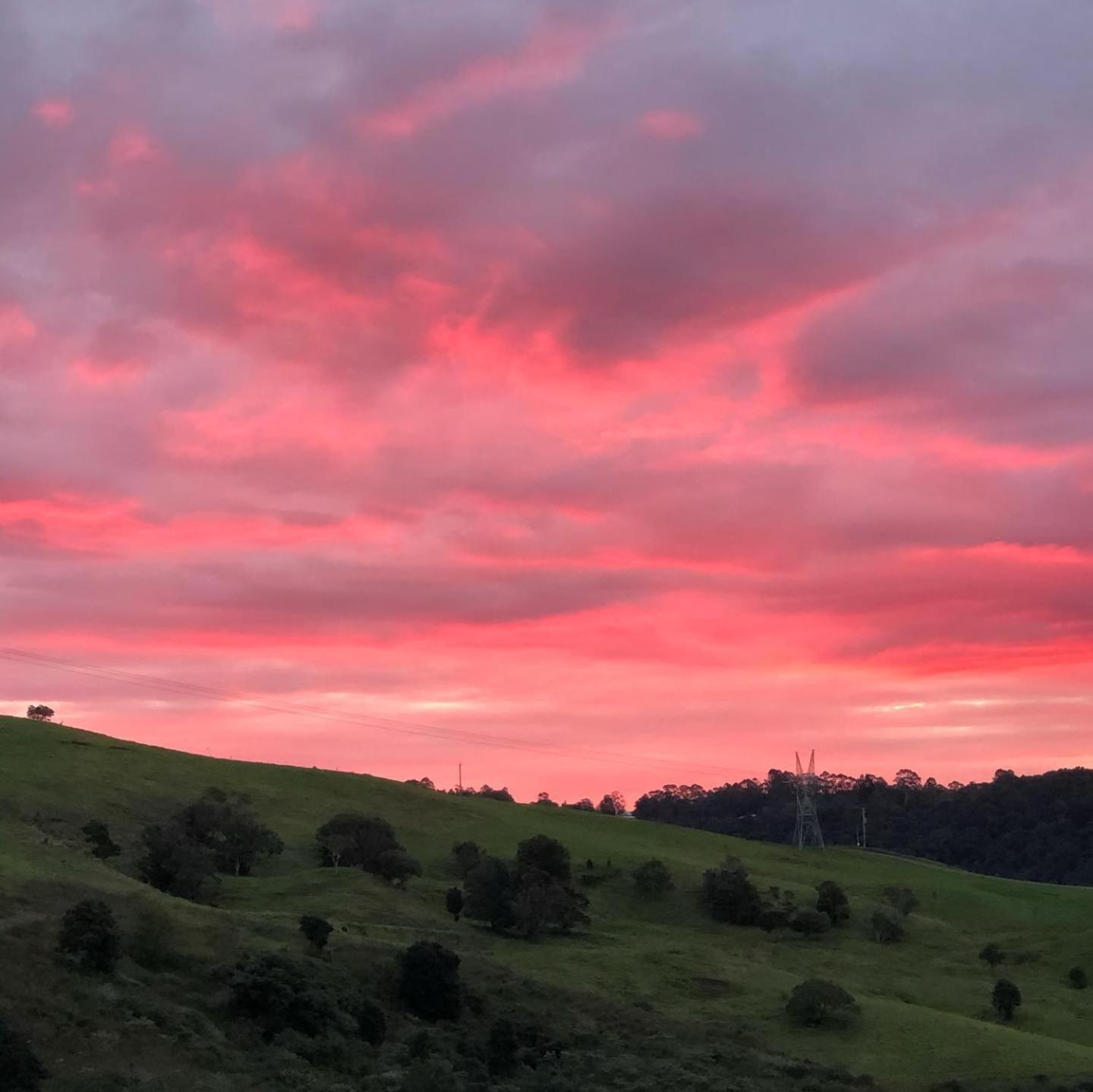 Top Of The Hill Maleny Buitenkant foto