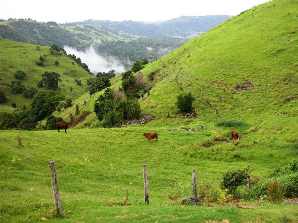 Top Of The Hill Maleny Buitenkant foto