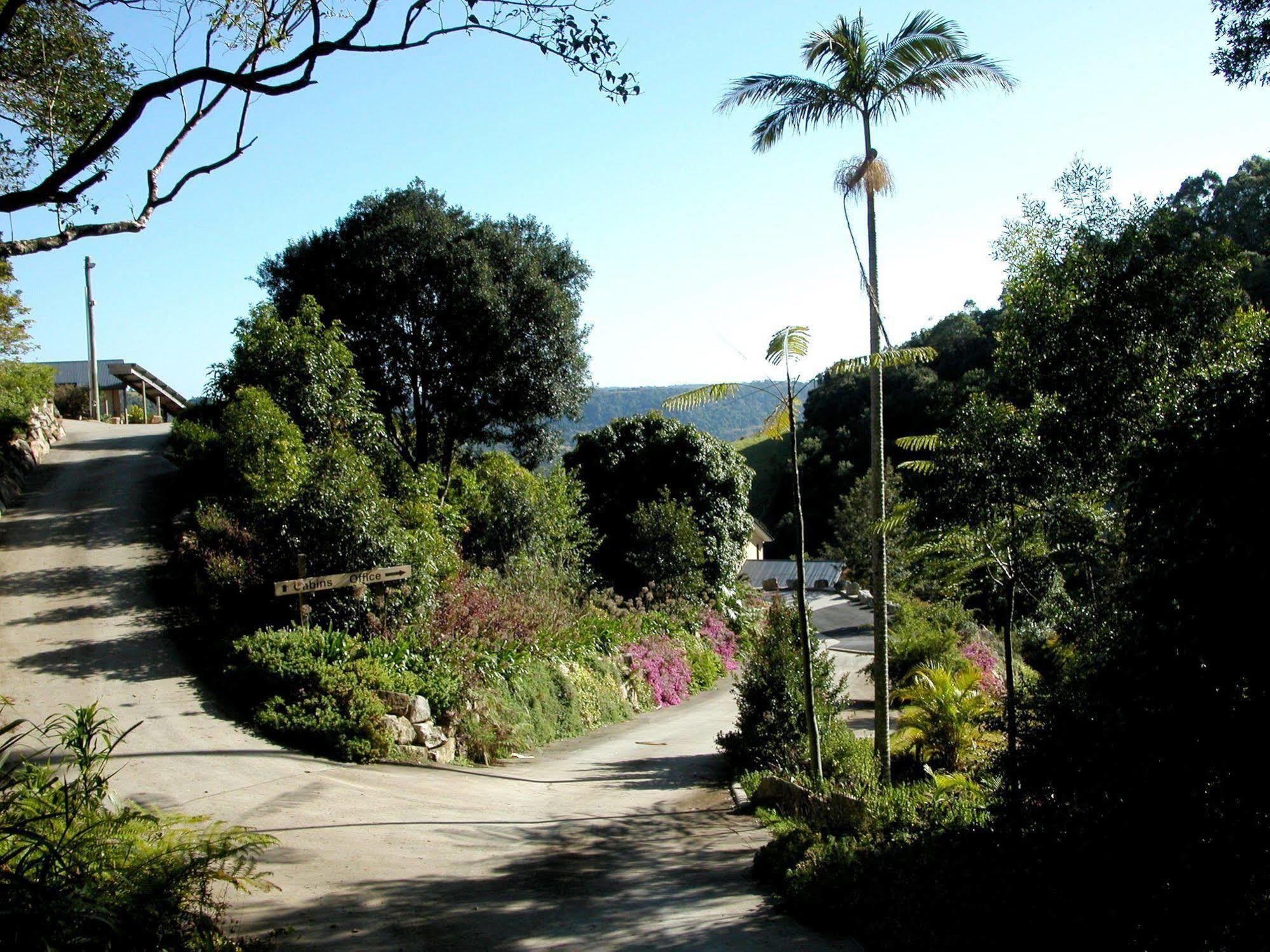 Top Of The Hill Maleny Buitenkant foto